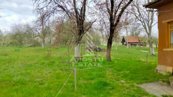 Casă 4 camere Magulicea - poza 2