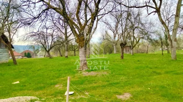 Casă 4 camere Magulicea - poza 5