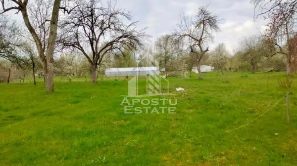 Casă 4 camere Magulicea - poza 6