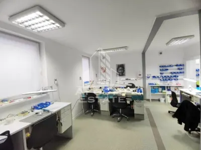 Casa ideala pentru birouri sau alte activitati pe strada Mangaliei - foto 3