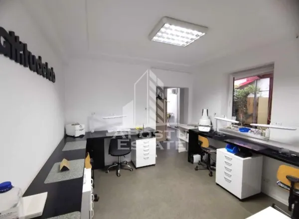 Casă 9 camere Timișoara - poza 4