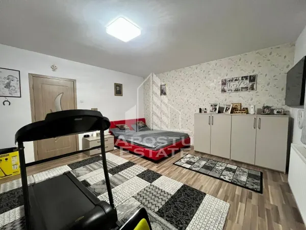 Apartament 2 camere Timișoara - poza 2