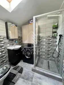 Doua apartamente de vanzare la curte comuna,zona Traian, Timisoara - foto 21