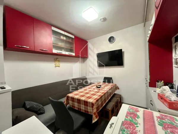 Apartament 2 camere Timișoara - poza 4
