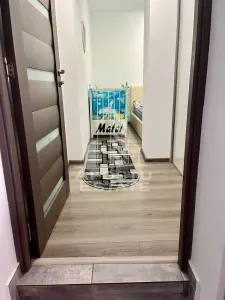 Doua apartamente de vanzare la curte comuna,zona Traian, Timisoara - foto 10