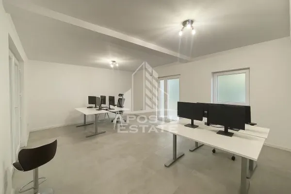 Spațiu comercial Dumbrăvița - poza 1