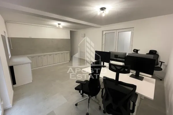 Spațiu comercial Dumbrăvița - poza 2