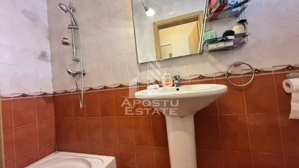 Casă 4 camere Timișoara - poza 8