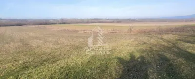 Teren mixt de 10.000 mp, ideal pentru investitie, Barsa - Barsa