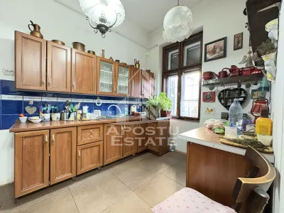 Apartament spatios, etaj intermediar, In Timisoara zona Iosefin - foto 7