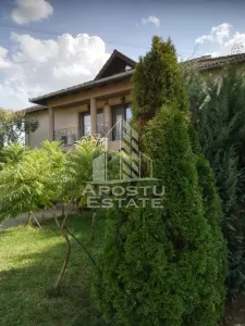 Casă 7 camere Șag - poza 17