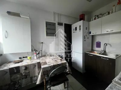 Casă 7 camere Șag - poza 25