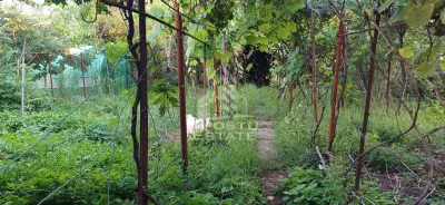 Casa din caramida de vanzare Freidorf Timisoara - foto 10