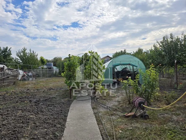 Casă 4 camere Timișoara - poza 14