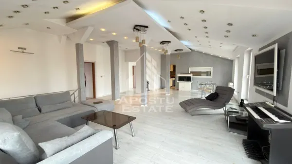 Casă 10 camere Timișoara - poza 2