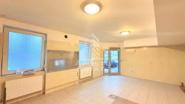 Casă 10 camere Timișoara - poza 11