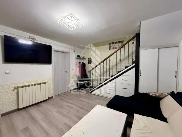 Casă 7 camere Timișoara - poza 6