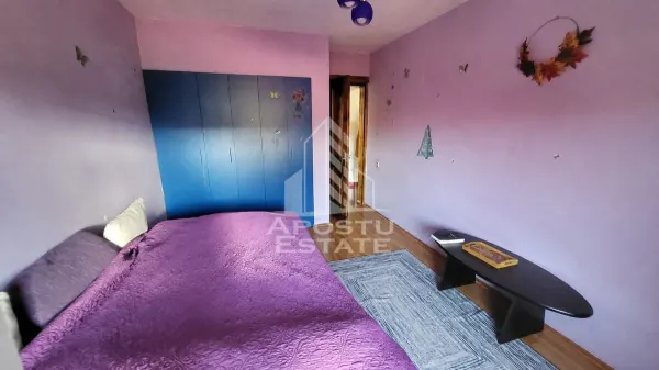 Casă 4 camere Timișoara - poza 16