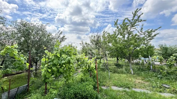 Casă 4 camere Giarmata - poza 15
