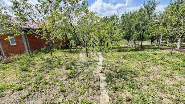 Casă 4 camere Giarmata - poza 16