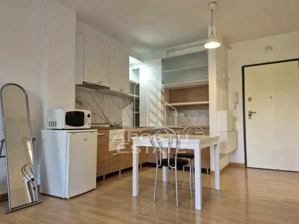 Apartament 1 camera Timișoara - poza 3