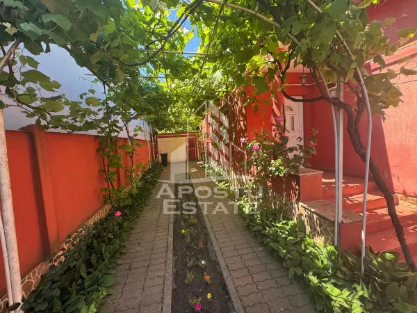 Casă 4 camere Arad - poza 13