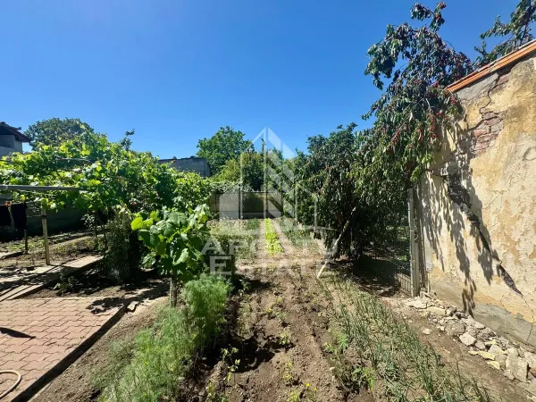 Casă 4 camere Arad - poza 14