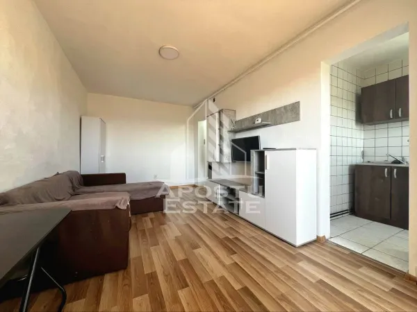 Apartament 1 camera Arad - poza 1