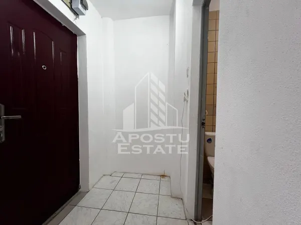 Apartament 1 camera Arad - poza 6