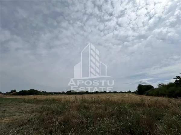 Teren Parta - poza 1