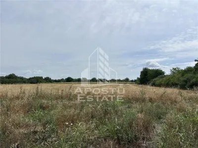 Parcela intravilan, vatra veche, 2248 mp, Parta Timis - foto 3
