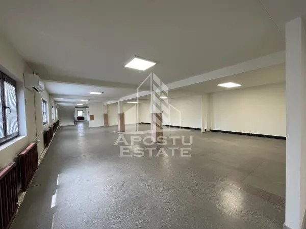 Spațiu comercial Dumbrăvița - poza 1