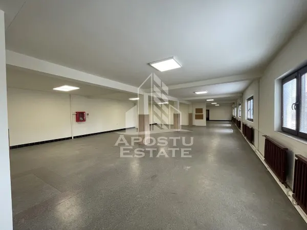 Spațiu comercial Dumbrăvița - poza 2