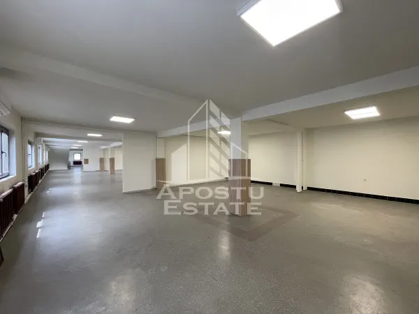 Spațiu comercial Dumbrăvița - poza 3