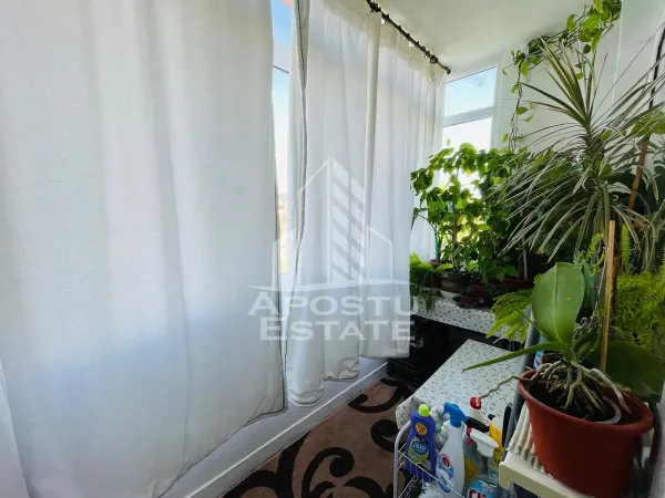 Apartament 3 camere Arad - poza 14