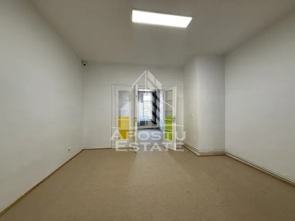 Casă 10 camere Timișoara - poza 4