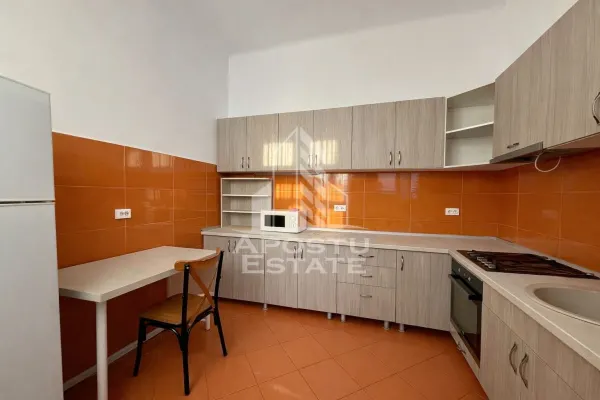 Casă 10 camere Timișoara - poza 5