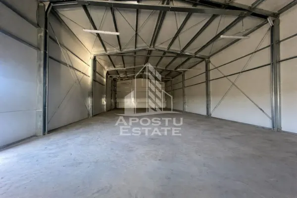Spațiu industrial Giarmata - poza 1