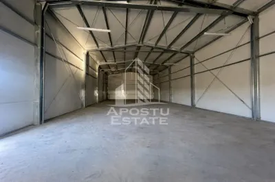 Hala + birouri, 590 mp, Giarmata - foto 1