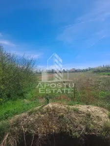 Casa individuala in Cruceni ,la granita cu Serbia - foto 9