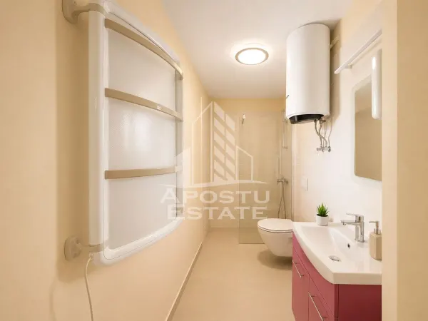 Spațiu comercial Timișoara - poza 9