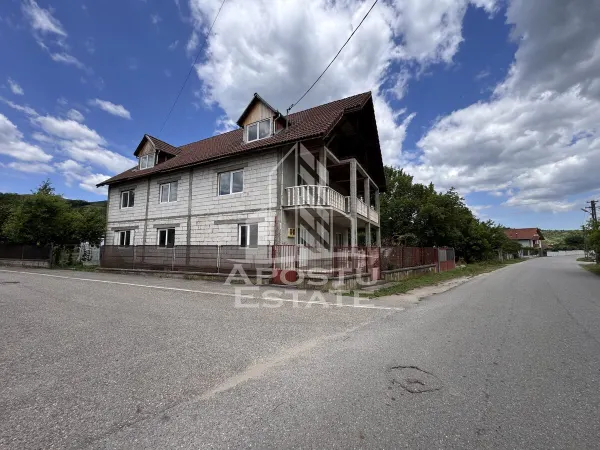 Casă 10 camere Farcadin - poza 2