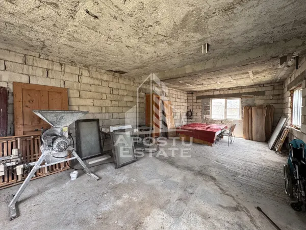 Casă 10 camere Farcadin - poza 22