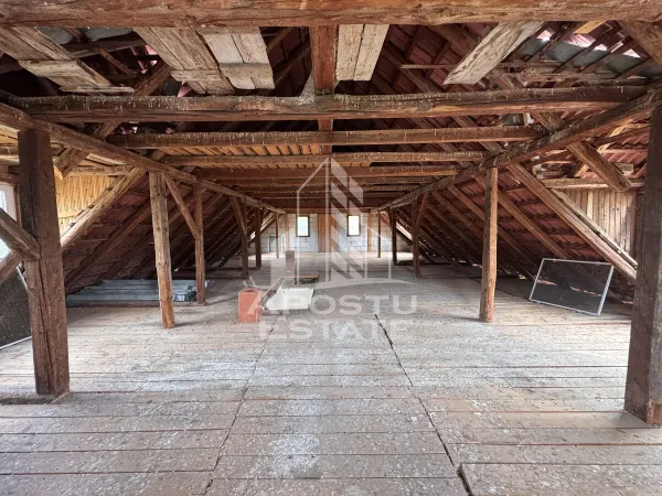 Casă 10 camere Farcadin - poza 23