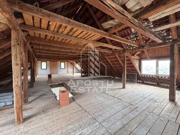 Casă 10 camere Farcadin - poza 24