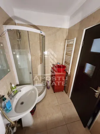 Apartament 2 camere Timișoara - poza 6