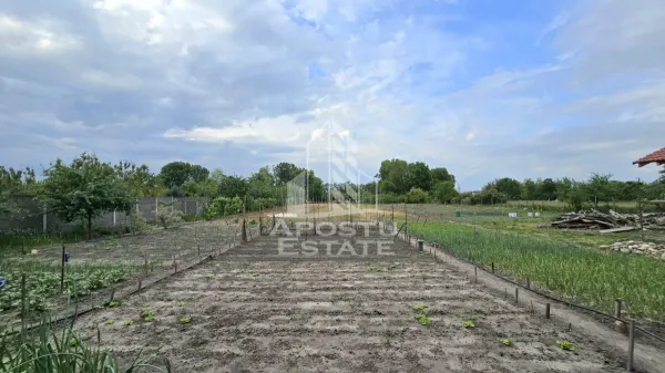 Casă 4 camere Dragsina - poza 23