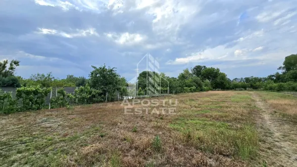 Casă 4 camere Dragsina - poza 24
