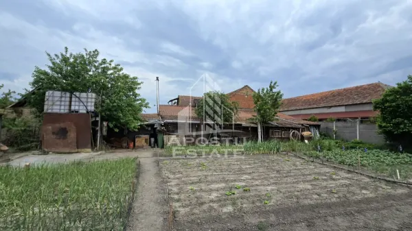 Casă 4 camere Dragsina - poza 25