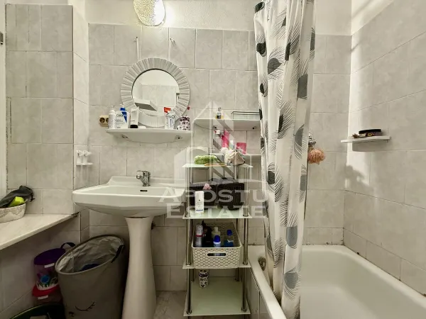 Apartament 1 camera Timișoara - poza 15